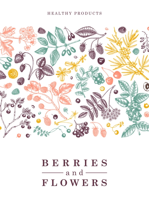 Wild berries card or invitation in engraved style. Hand drawn fruits and flowers vector frame design. Vintage plants sketch. Summer berries - strawberry, raspberry, bilberry, blackberry, cherry.